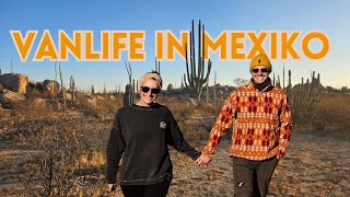 Mit dem eigenen Campervan nach Mexiko | Baja California | Vanlife in Mexiko | Panamericana Vlog #27