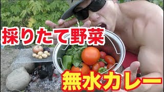 【サバイバル飯】採ったその場で作る高タンパク無水カレーが常識を遥かに超えた美味さになった！！！