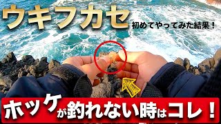 【釣りたい方必見!?】初めてウキフカセやった結果、渋い中でもホッケが釣れた！【積丹】