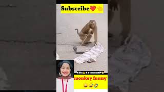 Monkey funny 🤣|reaction|#shorts 🤠🤡#trending🥸🤓 #funny 😅#ytshorts🥲#viral #viralvideo #reaction😇☺