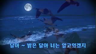 기러기 (포스터 곡) - 김치경 외 원곡(영어, 한글자막 English \u0026 Korean captions)