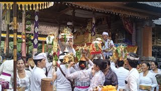 Prosesi Penyineban Ida Betara Di Pura Paibon Sira Arya Getas Antiga Manggis