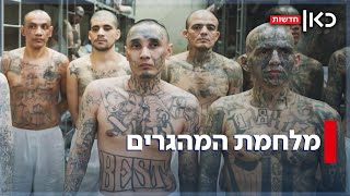 טרנספר גם לפושעים? העסקה המפתיעה של טראמפ - שתוציא עבריינים מארה\