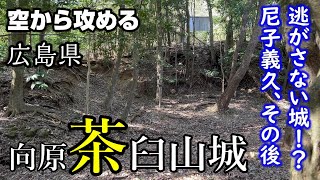 【閉じ込めた城！？その後の尼子義久】向原茶臼山城・円明寺屋敷【空から攻める山城】ドローン空撮