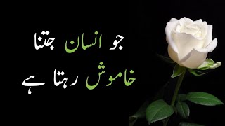 Jo Insan Jitna Khamosh Rehta hy/Achi Batein/Urdu Whatsapp Poetry Status