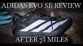 Adidas Adizero EVO SL Review | After 75 Miles