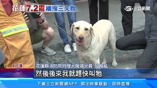 出動14人1犬! 險遭落石砸 砂卡礑搜救一度暫停｜三立新聞網 SETN.com