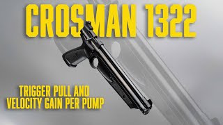 Testing the Crosman 1322: The Best multi-pump .22?