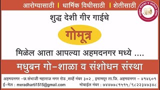 मधुबन गो-शाळेचे गोमूत्र (cow urine)/7447781515 मधुबन गो-शाळेचे गोमूत्र आपणास विक्री साठी तयार आहे.