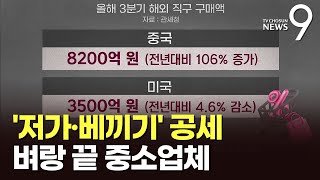 中저가앱 '저가·베끼기'공세에 무너지는 소상공인…알리 \