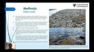 Variability of Foreshore and Nearshore Marine Animals on a Cobble Beach in Nova Scotia