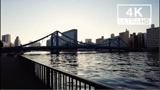 Ambient Walking before Sunset in Sumida River, Tokyo 4K | 夕暮れの隅田川散歩, 東京