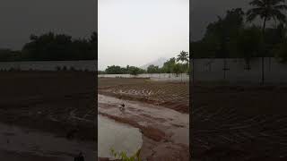 Arunachala abhisekam by Varuna Bhagavan 26/722 8.34am