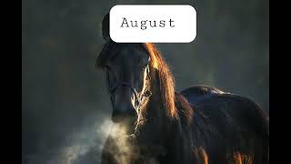 Horse Calendar!!!