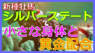 【新種牡馬 シルバーステート】小さな身体と黄金配合【特徴\u0026血統解説】