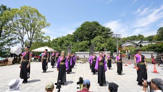 高知学生 旅鯨人『鬼妙』 📍犬山踊芸祭 (城前広場会場) 2024-06-01T12:45