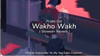 Wakho Wakh | Slowed + Reverb | Prabh Gill Punjabi Song #punjabisong #slowedandreverb #prabhgill