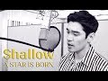 Shallow (A Star Is Born) Lady Gaga & Bradley Cooper - Cover by Travys Kim