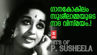 ദക്ഷിണേന്ത്യയുടെ ഗാനകോകിലം പി സുശീല ആലപിച്ച ഒരിക്കലും മറക്കാത്ത പഴയ ഗാനങ്ങൾ | Malayalam Old Hits