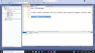 C# Database (Insert data in table) using visual studio object explorer