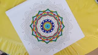 Delusional Artist Series | Mandala Art through lectures