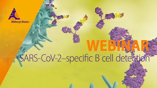 SARS-CoV-2–specific B cell detection and therapeutic antibody discovery  [WEBINAR]