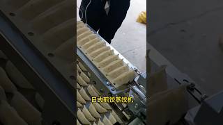 日式煎饺蒸饺机  日本饺子机  国际认证 #machine #factory #food #foodmachine #noodlesfactory #noodles