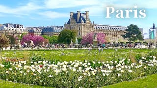 [4K]🇫🇷 Paris Walk: Tuileries Garden,  Palais-Royal 🌷🌹Pl. Vendome , Lunch at Two Michelin Stars👍💕