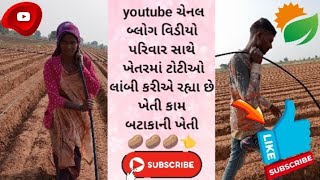 હાલો મિત્રો ટોટીયો ખેંચી રહ્યા છે બટાકાના ખેતરમાં 🥔🥔🥔👈