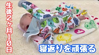 寝返りを頑張る赤ちゃん【出産】【寝返り】【赤ちゃん】生後２ヶ月１０日で～