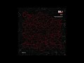 Osvit - Octavus [CBD012]