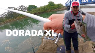 SURFCASTING pesca de DORADA XL en el NORTE  1ª jornada