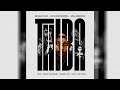 Shaun 101, Mluusician & DJ Maphorisa - Thiba (feat. Tango Supreme, Uncool MC & Ricky Lenyora)
