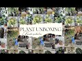 Unboxing NEW PLANTS feat. Ecuagenera USA | Kivonshe