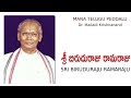 telugu peddalu by dr malladi krishnanand 148 biruduraju ramaraju బిరుదురాజు రామరాజు