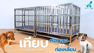 เทียบกรงสุนัขสแตนเลส ท่อกลมกับท่อเหลี่ยม | Pawradiseshop