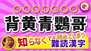 難読漢字！知らなくても読める不思議な漢字集