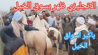 سوق الخيل خلف التوقعات انهارده ونزل فيه مهاره وخيل زغللت عيون العشاق وتوافد قوي لمحبي الخيل من بعيد🐎