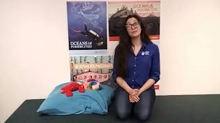 Summer Reading 2022 "Oceans of Possibilities"
