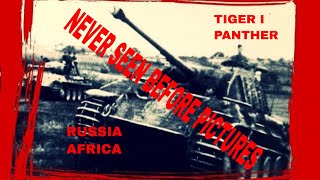 PANTHER PANZER AND TIGER I TANK UNLEASHED NEVER SEEN BEFORE PICTURES OF THE FRONT EASTERN AND AFRICA