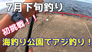 7月下旬釣り　初挑戦！海釣り公園でアジ釣り！