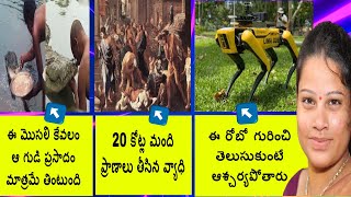 శాకాహార మొసలి గురించి మీకు తెలుసా Interesting facts in telugu