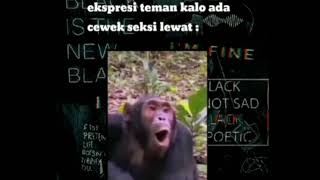 Story Wa : Ekspresi Teman Kalo ada Cewek seksi lewat😂 || #storywa