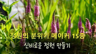 2024 분위기 메이커 꽃 15종 추천/신비로운 분위기를 만들어 주는 꽃/내년 정원식물 추천/정원디자인/Beautiful Korean  garden/Gardening tips/