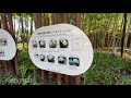 上野動物園「パンダのもり」　お庭だけ（2020 9 8）