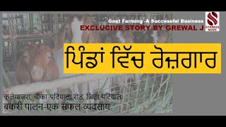 ਸਵੈ ਰੁਜ਼ਗਾਰ,ਪਿੰਡਾਂ ਵਿੱਚ--ਇੱਕ ਸਫਲ ਕਾਰੋਬਾਰ   #  GOAT FARMING -A Successful Business