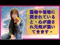 【並木良和さん】動物や植物に囲まれていると、心が癒され元気が湧いてきます。