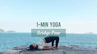 《一分鐘瑜伽》- Bridge Pose（橋式）