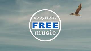 Peyruis - Fly Away [Copyright FREE Music]