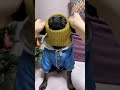 冬の散歩の季節 shorts dog